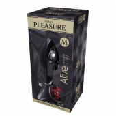 Серебристая анальная втулка Mini Metal Butt Plug Size M с красным кристаллом - Adrien Lastic в Великом Новгороде Серебристая анальная втулка Mini Metal Butt Plug Size M с красным кристаллом - Adrien Lastic