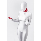 Красный ошейник с подкладкой из меха - ToyFa - купить с доставкой в Великом Новгороде