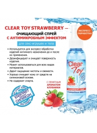 Очищающий спрей для игрушек CLEAR TOY Strawberry - 100 мл. - Биоритм - купить с доставкой в Великом Новгороде