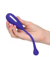 Фиолетовый шарик с электростимуляцией и вибрацией Intimate E-Stimulator Remote Kegel Exerciser - California Exotic Novelties - купить с доставкой в Великом Новгороде