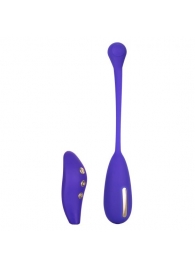 Фиолетовый шарик с электростимуляцией и вибрацией Intimate E-Stimulator Remote Kegel Exerciser - California Exotic Novelties - купить с доставкой в Великом Новгороде