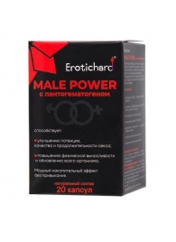 Капсулы для мужчин Erotichard male power с пантогематогеном - 20 капсул (0,370 гр.) - Erotic Hard - купить с доставкой в Великом Новгороде