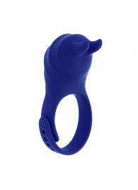 Синее эрекционное виброкольцо с клиторальной подушечкой и пультом ДУ Adjustable Fun Ring - Zero Tolerance - в Великом Новгороде купить с доставкой