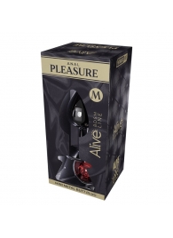 Серебристая анальная втулка Mini Metal Butt Plug Size M с красным кристаллом - Adrien Lastic в Великом Новгороде Серебристая анальная втулка Mini Metal Butt Plug Size M с красным кристаллом - Adrien Lastic