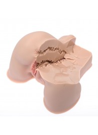 Мастурбатор-полуторс Naked Factory Kate - Naked Factory - в Великом Новгороде купить с доставкой