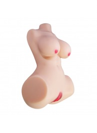 Мастурбатор-торс Aveline с 2 любовными тоннелями - Baile - в Великом Новгороде купить с доставкой