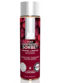 Лубрикант на водной основе с ароматом малины JO Flavored Raspberry Sorbet - 120 мл. - System JO - купить с доставкой в Великом Новгороде