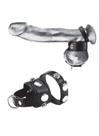 Утяжка для мошонки и пениса Cock Ring With 1  Ball Stretcher And Optional Weight Ring - BlueLine - купить с доставкой в Великом Новгороде