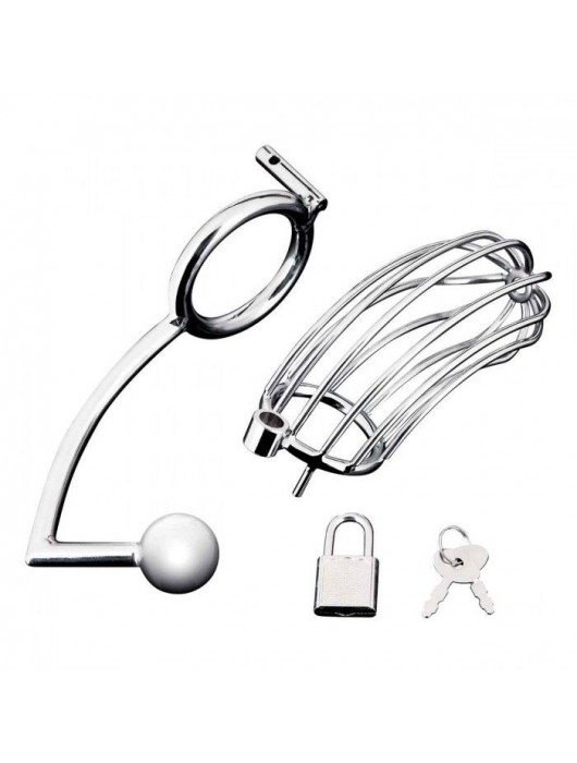 Серебристая металлическая клетка с анальным стимулятором Cock Cage - BlueLine - купить с доставкой в Великом Новгороде