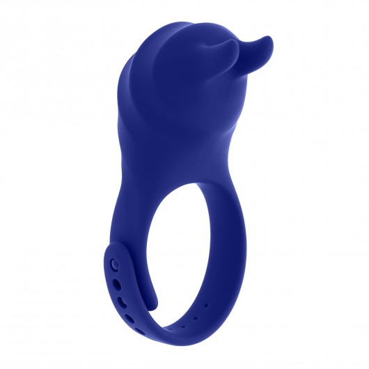 Синее эрекционное виброкольцо с клиторальной подушечкой и пультом ДУ Adjustable Fun Ring - Zero Tolerance - в Великом Новгороде купить с доставкой