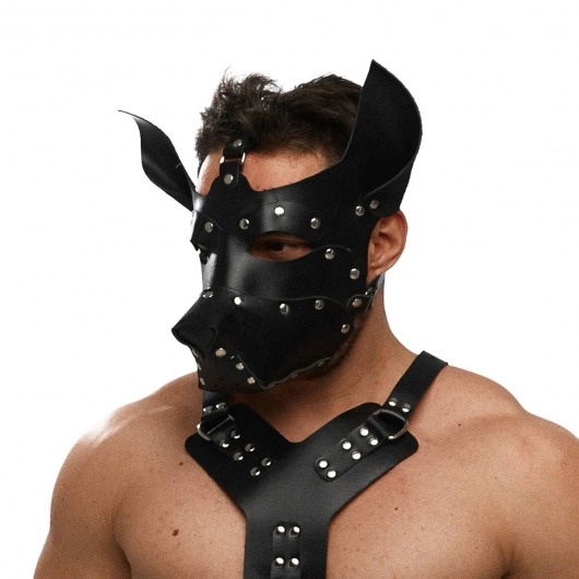 Черная кожаная маска «Собака» - Crazy Handmade - купить с доставкой в Великом Новгороде Черная кожаная маска «Собака» - Crazy Handmade - купить с доставкой в Великом Новгороде