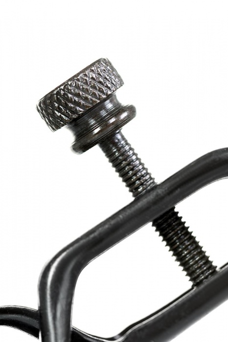 Черно-золотистые зажимы для сосков TOYFA Theatre - ToyFa - купить с доставкой в Великом Новгороде