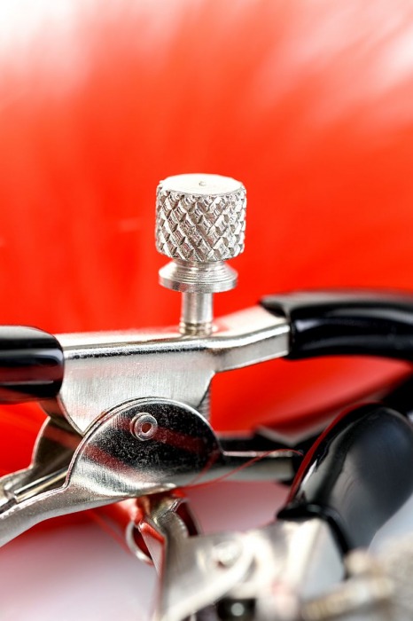 Зажимы для сосков с красным пухом Theatre - ToyFa - купить с доставкой в Великом Новгороде